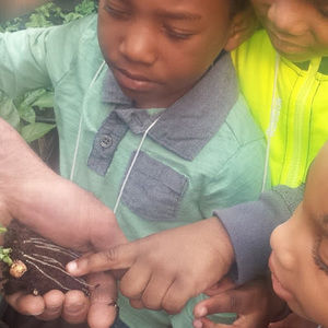 Meet your Posher, Marthe